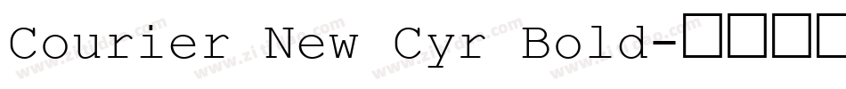 Courier New Cyr Bold字体转换